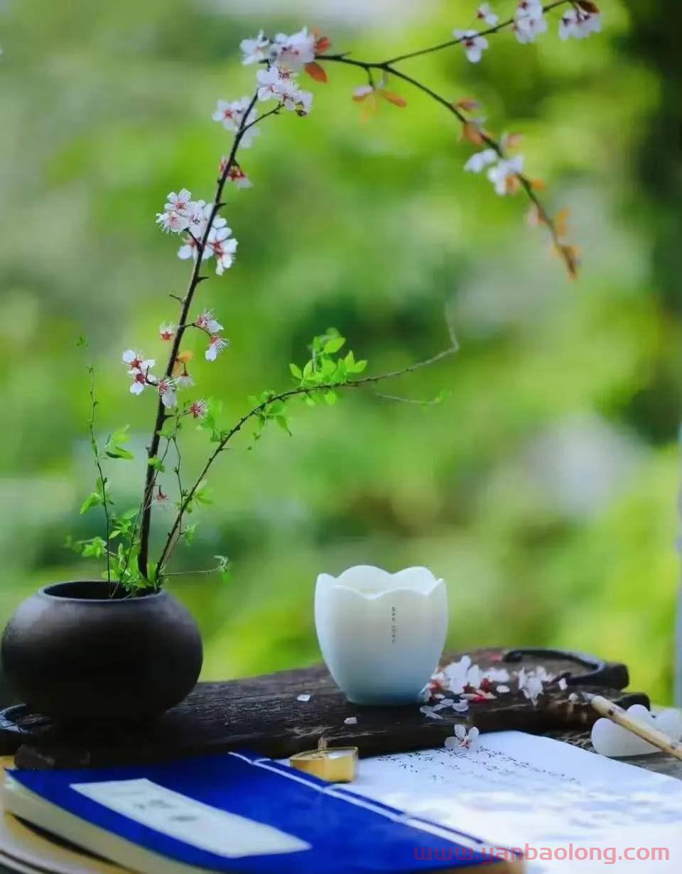 商業認知：消費者心智中沒有詞匯，只有聲音